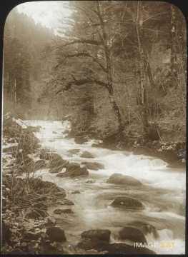 Cours d'eau en forêt (Doubs)